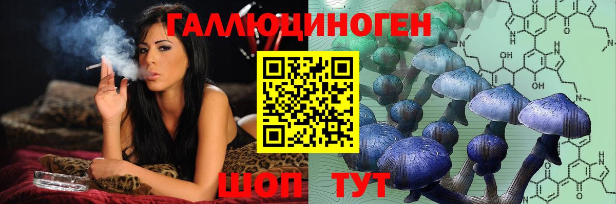 Выборг  Галлюциногенные грибы Magic Shrooms  Вход с VPN 